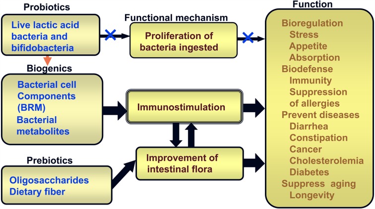 Fig. 13.