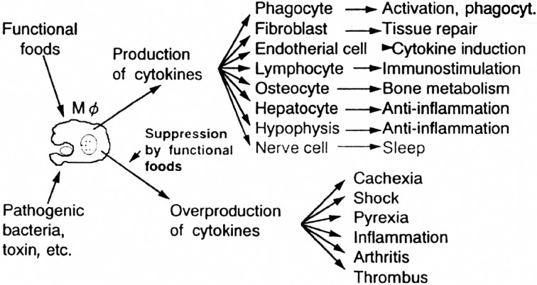 Fig. 15.