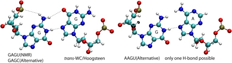 FIGURE 12.