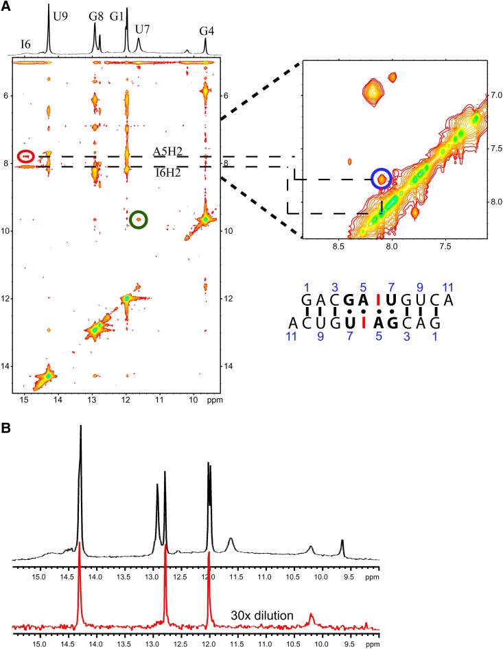 FIGURE 10.