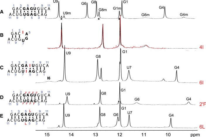 FIGURE 9.