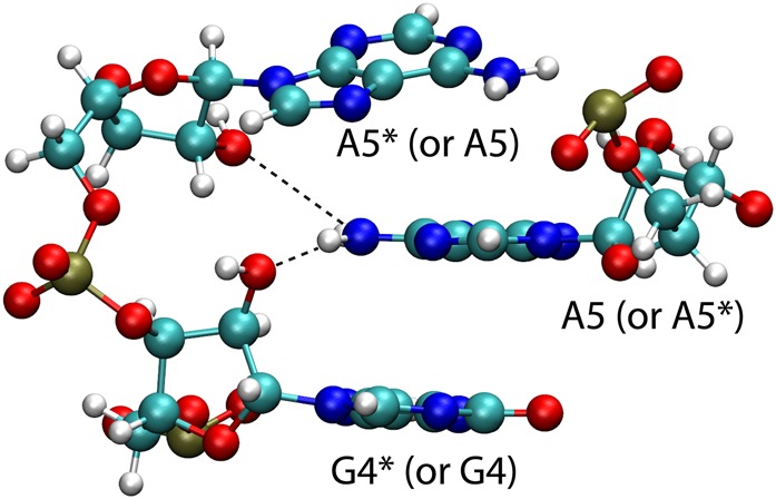 FIGURE 6.