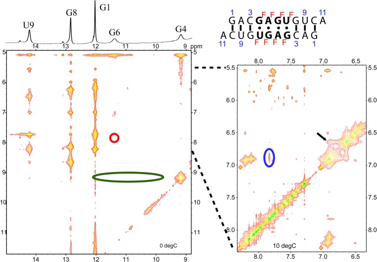 FIGURE 11.