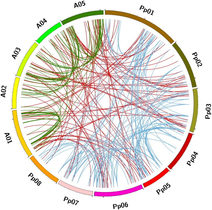 Fig 10