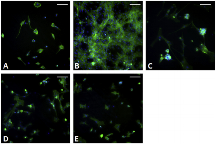 Fig. 12.