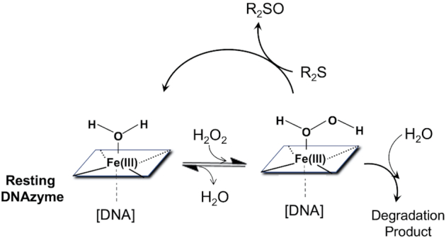 Figure 9.