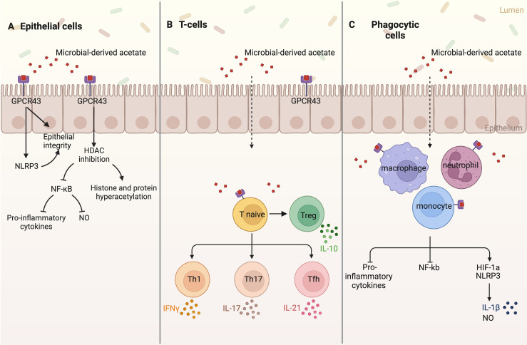 Figure 2.