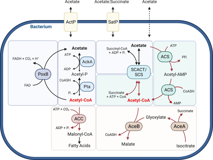 Figure 1.