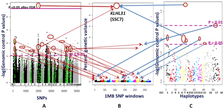 Figure 9