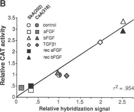 graphic file with name pnas01043-0150-b.jpg