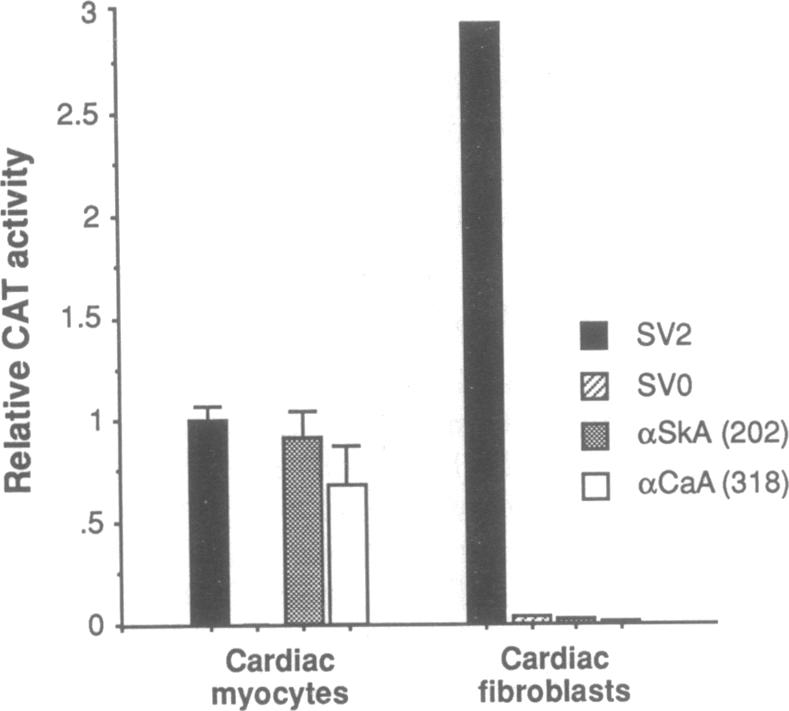 graphic file with name pnas01043-0149-c.jpg