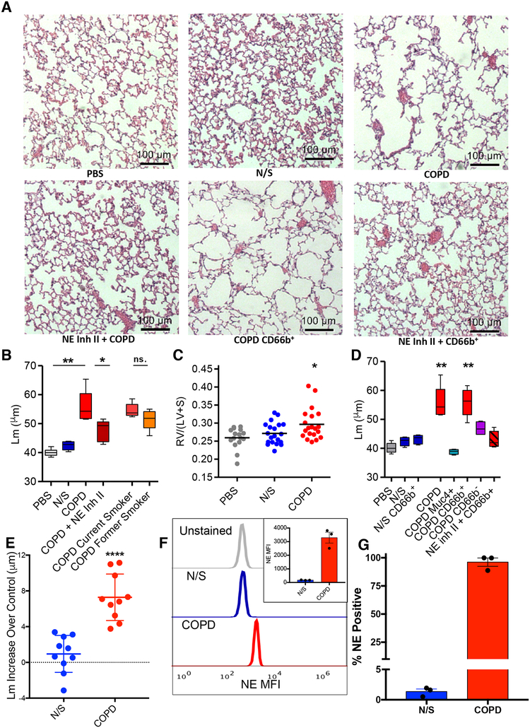 Fig 6.