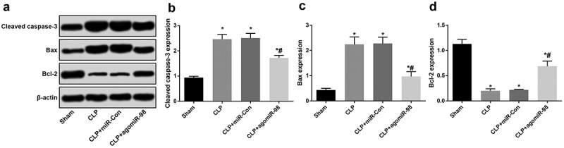 Figure 11.