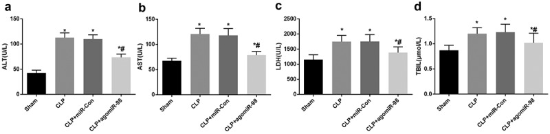 Figure 6.