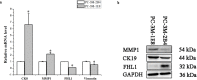 Fig 12