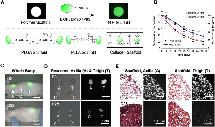 Fig. 4