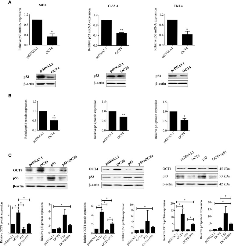 Figure 7