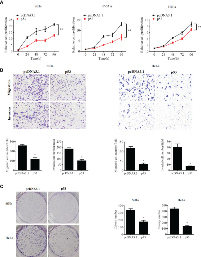 Figure 6