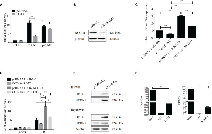 Figure 10