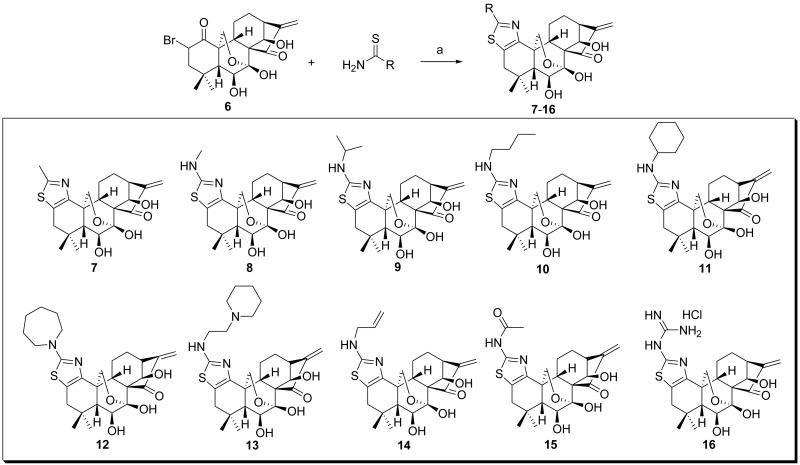 Scheme 2