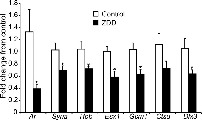 FIG. 6