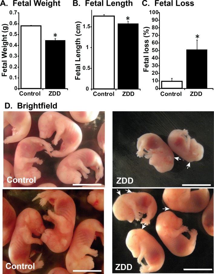 FIG. 8