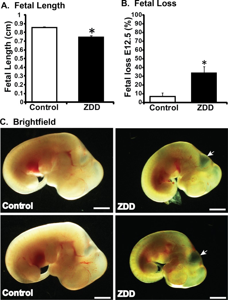 FIG. 7