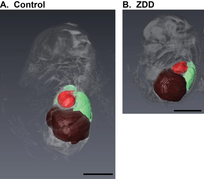 FIG. 10