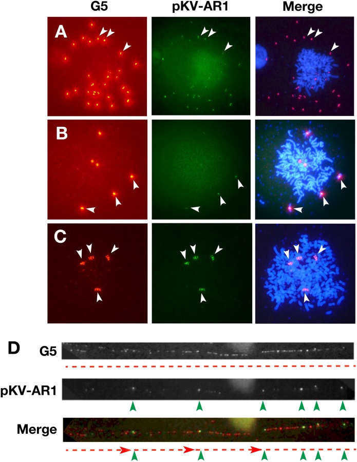 Fig 4