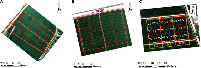 Fig. 1.