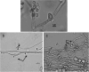 FIG 2
