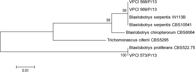 FIG 3