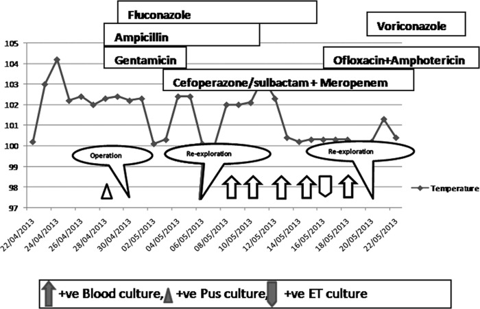 FIG 1