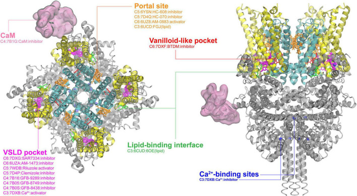 FIGURE 3