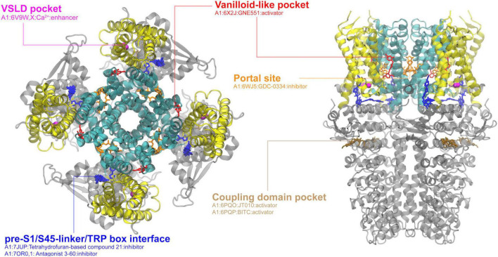 FIGURE 4