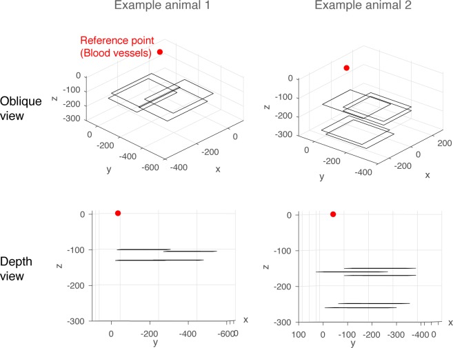 Figure 2—figure supplement 5.