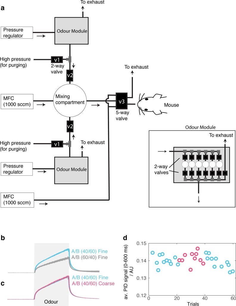 Figure 2—figure supplement 4.