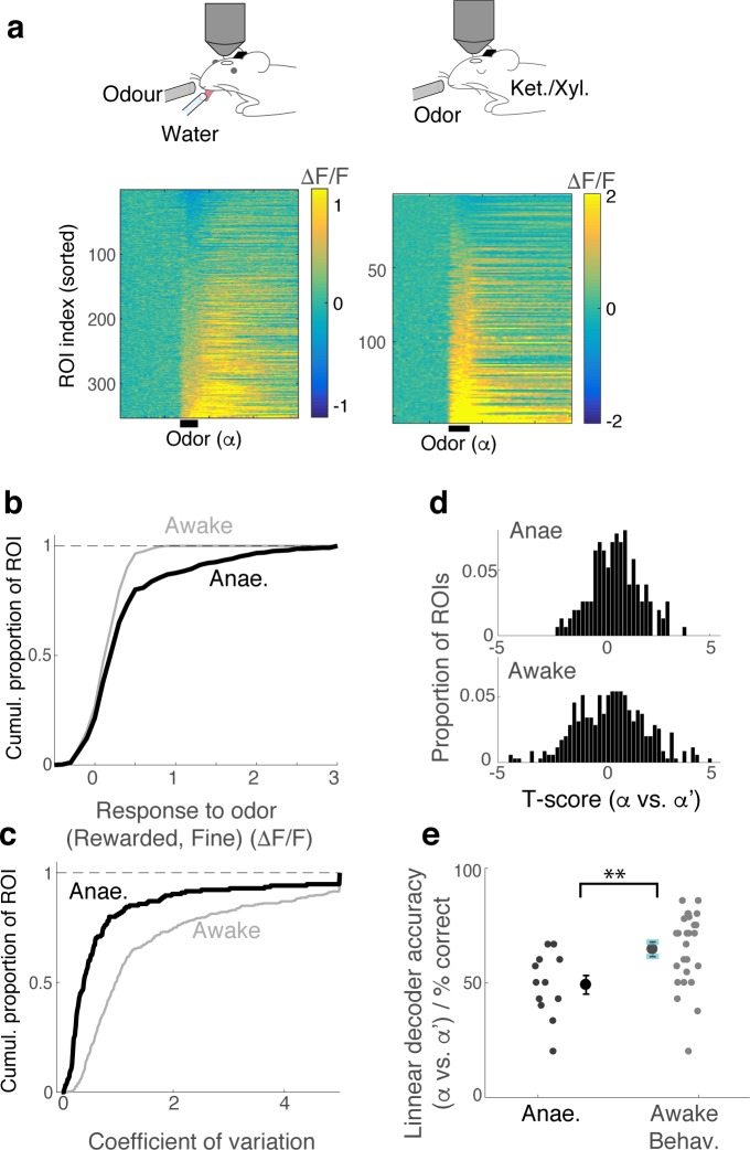 Figure 2—figure supplement 3.