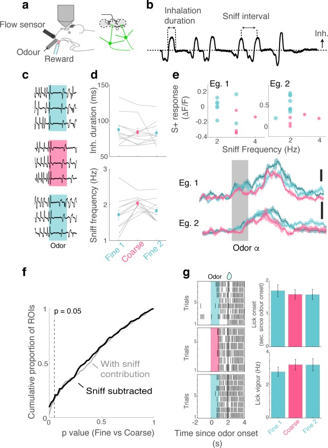 Figure 1—figure supplement 3.