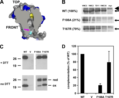 Fig 4