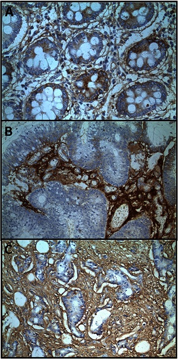 Fig. 8