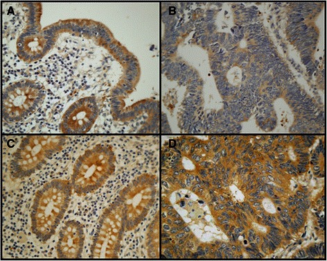 Fig. 9