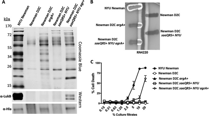 FIG 3