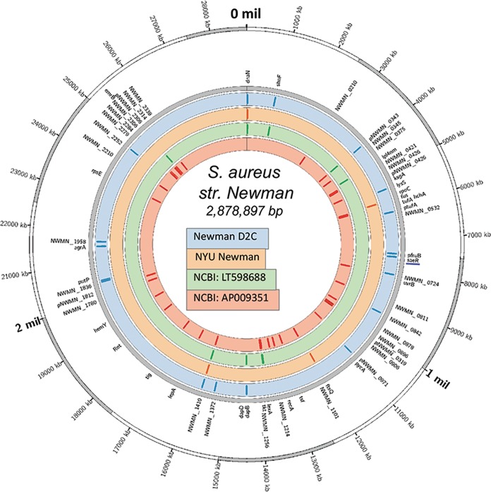 FIG 2