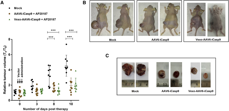 Figure 3