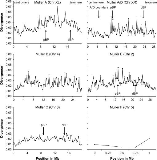 Figure 1.—