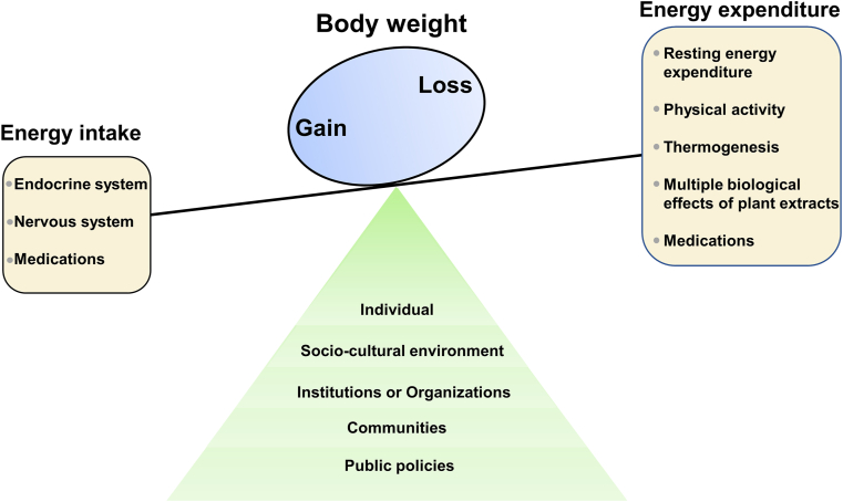 Figure 1