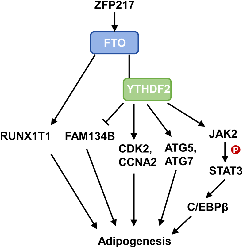 Figure 4