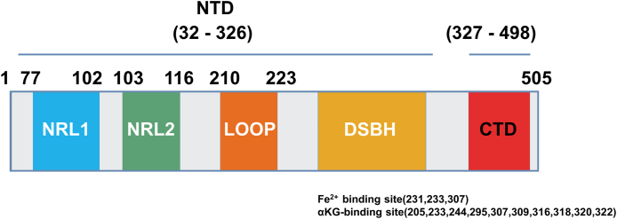 Figure 3