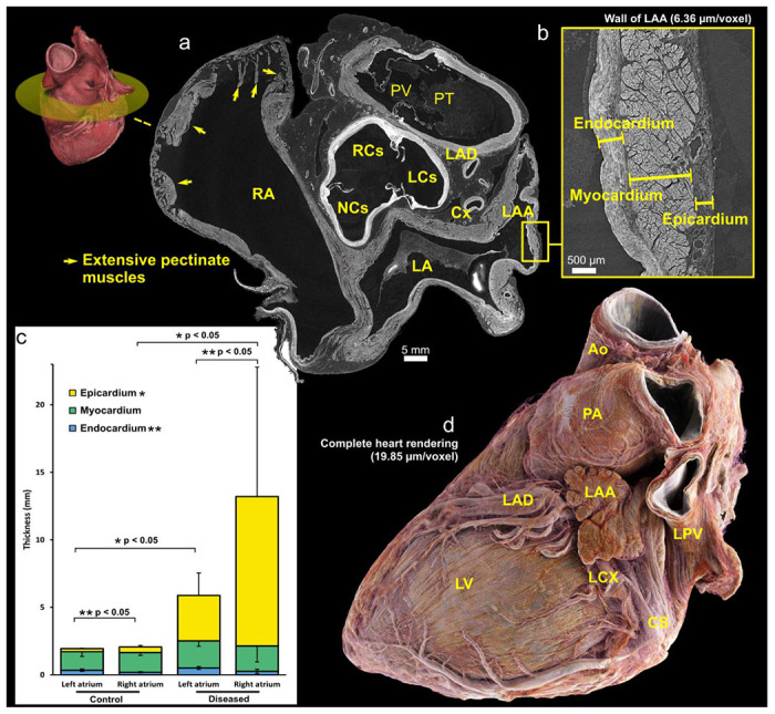 Figure 3: